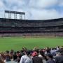 thumbnail of Section 141