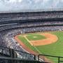 thumbnail of Section 409