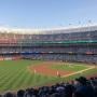 thumbnail of Section 229
