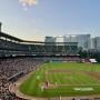 thumbnail of Section 228