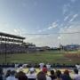 thumbnail of Section 106