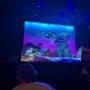 thumbnail of Orchestra 3
