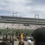 thumbnail of Section 124