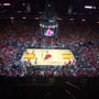 thumbnail of Section 309