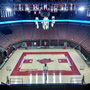 thumbnail of Section 218