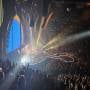 thumbnail of Section 123