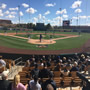 thumbnail of Section 15
