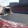 thumbnail of Section Q