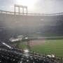 thumbnail of Section 307