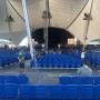 thumbnail of Section 500