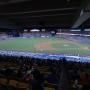 thumbnail of Section 131