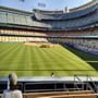 thumbnail of Section 305