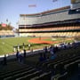 thumbnail of Section 39