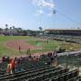 thumbnail of Section 221
