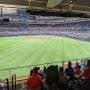 thumbnail of Section 29