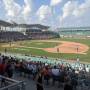 thumbnail of Section 211