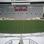 thumbnail of Section 231