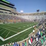 thumbnail of Section 14
