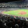 thumbnail of Section 15