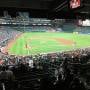 thumbnail of Section 29