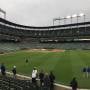 thumbnail of Section 96