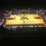 thumbnail of Section 219