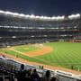 thumbnail of Section 211