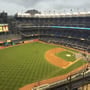 thumbnail of Section 429