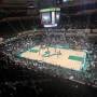 thumbnail of Section 201