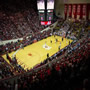 thumbnail of Section F