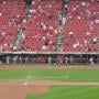 cardinals dugout