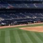 yankees dugout